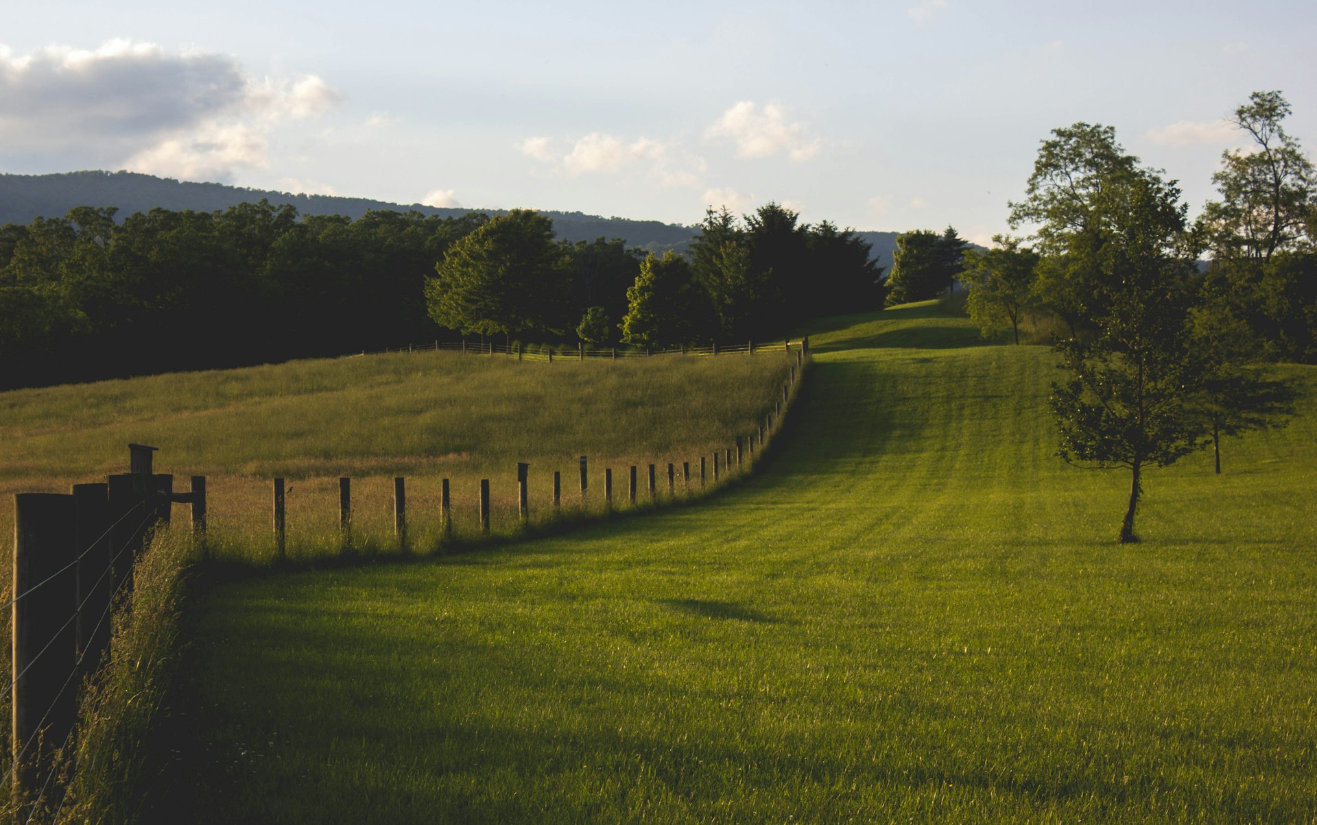 Virginia farm field with wooden fence
